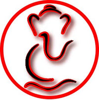 UNLOCK YOUR CHAKRA logo
